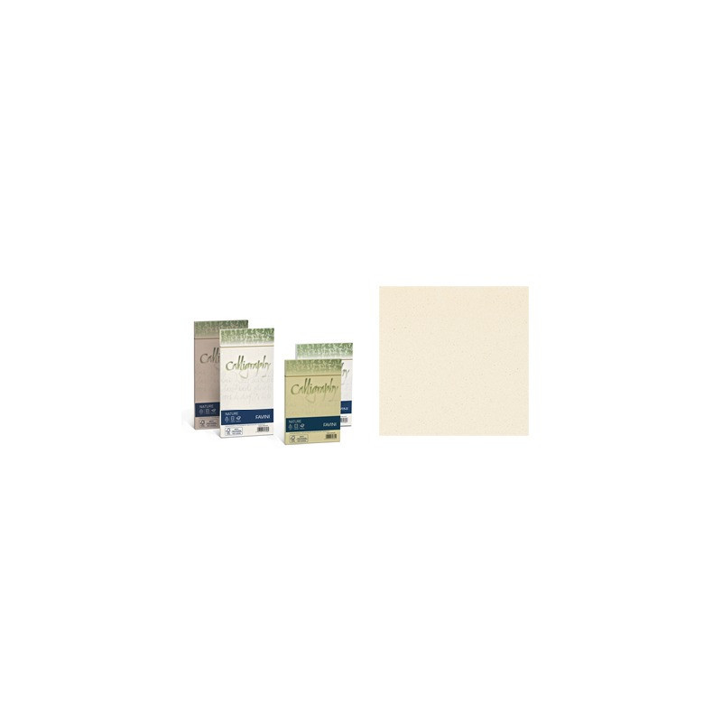 Buste Calligraphy algae 11x22 90gr. algae 25pz