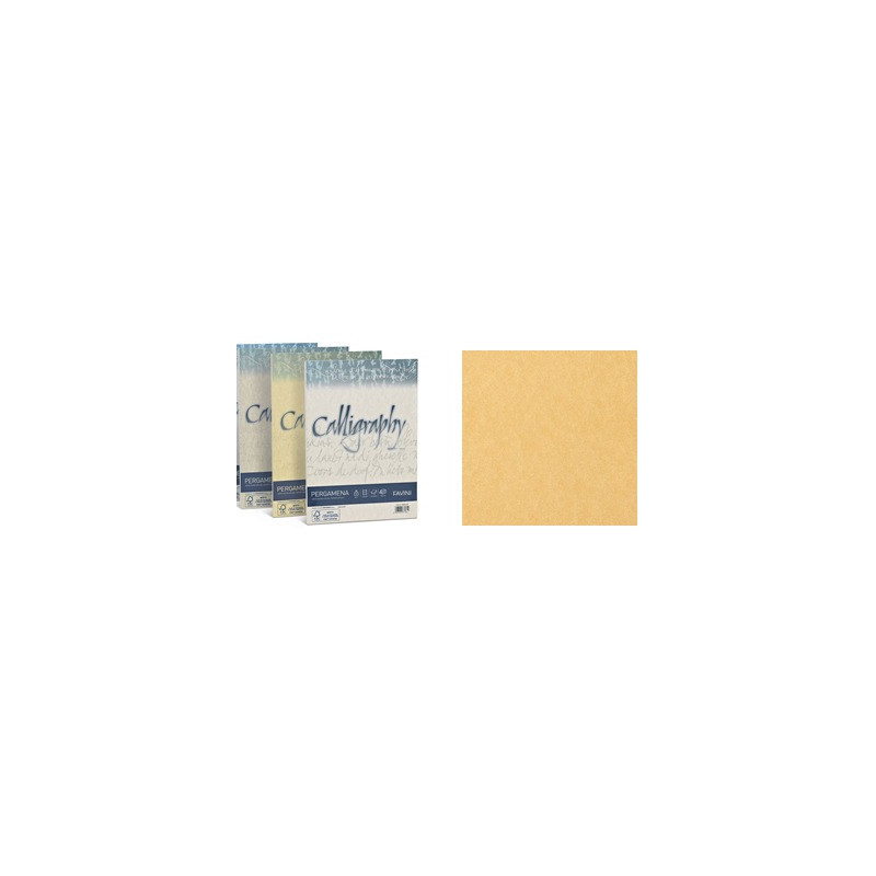 Carta Pergamena Calligraphy  A4 90gr. 50ff oro