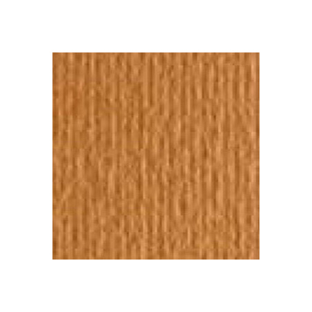 Cartoncino 5070 avana