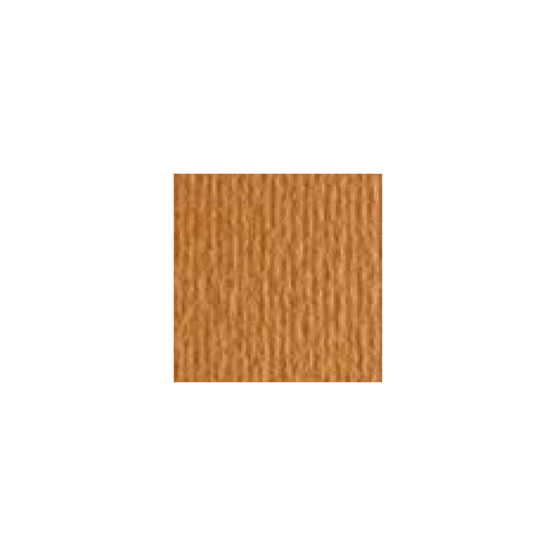 Cartoncino 70100 avana