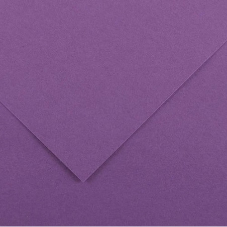 Cartoncino 70100 violetto