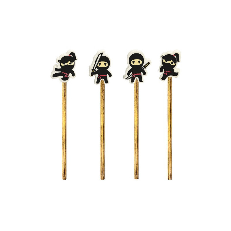 Matita ninja