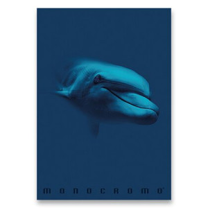Maxi Pigna Monocromo BLU 100gr 1 rigo