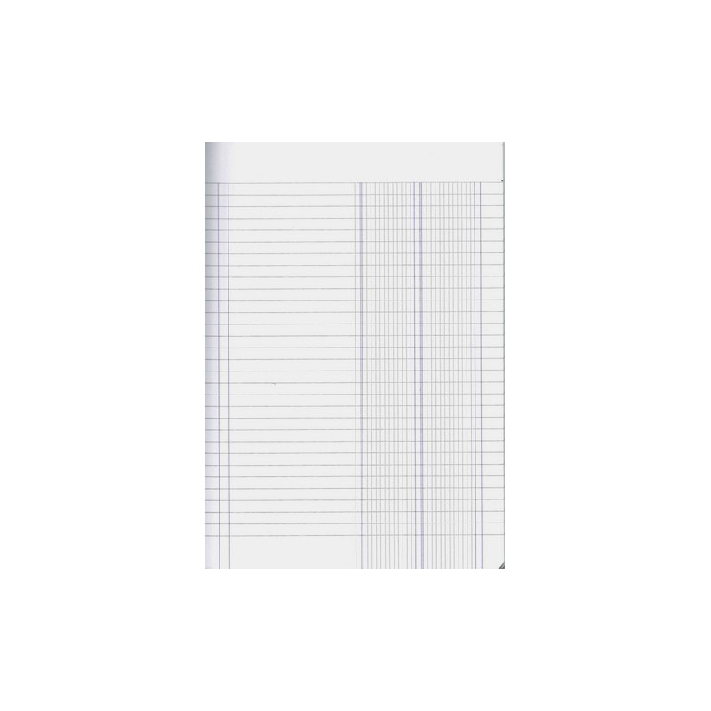 Maxi quaderno 2 colonne 80gr