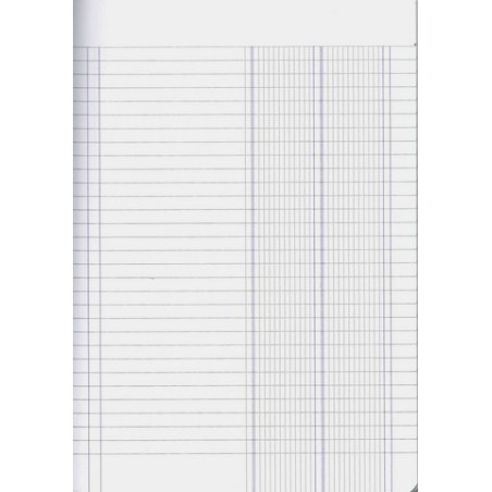 Maxi quaderno 2 colonne 80gr