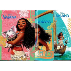 Maxi quaderno VAIANA 100gr10mm